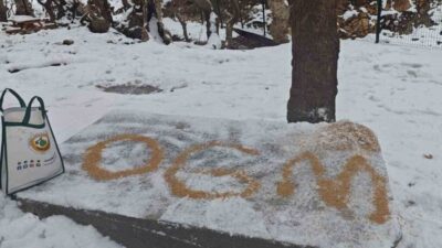 Batman Orman İşletme Müdürlüğüne bağlı orman muhafaza memurları, yoğun kar