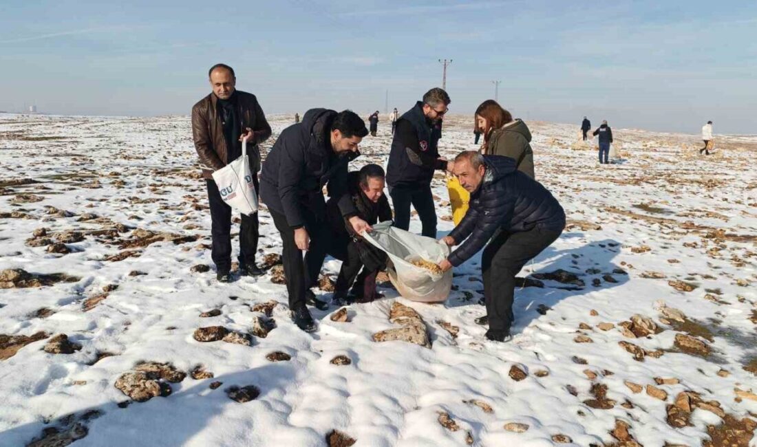 Batman’da sivil toplum kuruluşu temsilcilerinin katılımıyla yaban hayvanları için doğaya