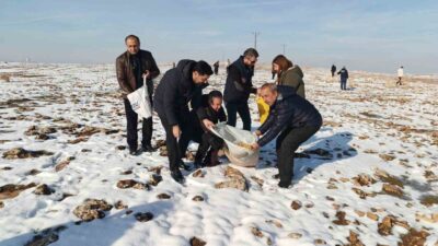 Batman’da sivil toplum kuruluşu temsilcilerinin katılımıyla yaban hayvanları için doğaya