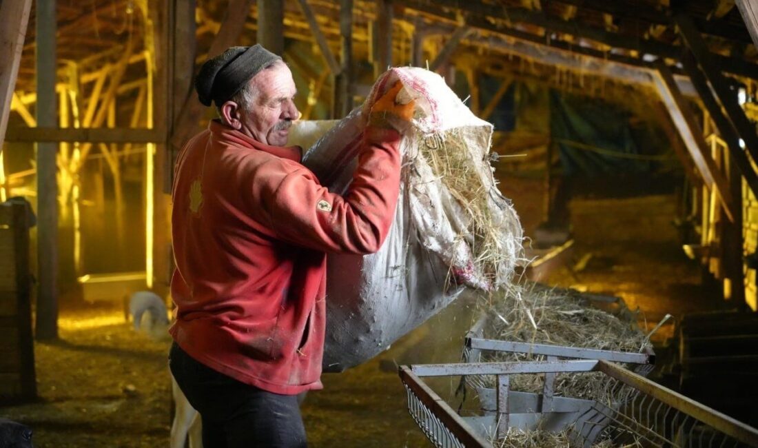 Bayburt merkeze 42 kilometre uzaklıktaki Başçımağıl köyünde yaşayan Fikri Telli,