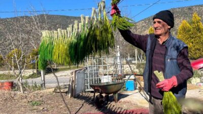 İzmir’in çiçek üretimiyle öne çıkan ilçesi Bayındır, bu yıl 5’incisi