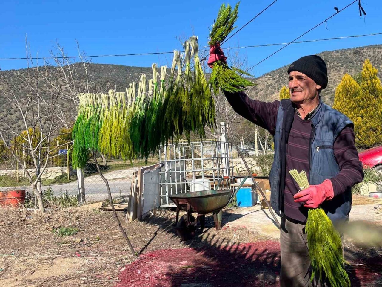 İzmir’in çiçek üretimiyle öne çıkan ilçesi Bayındır, bu yıl 5’incisi