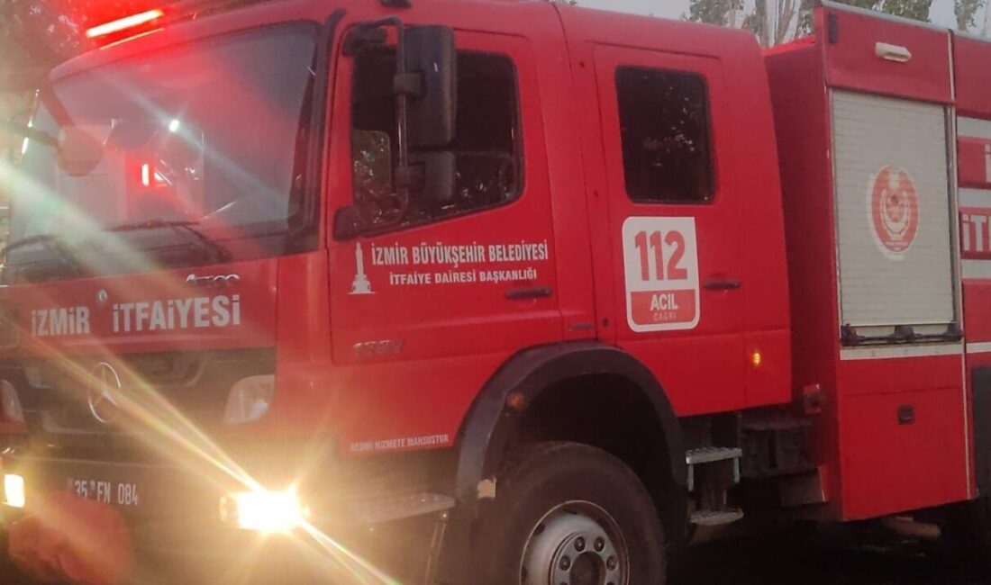 İzmir’in Bayındır ilçesine bağlı Karahalilli Mahallesi’nde sabah saatlerinde çıkan yangın