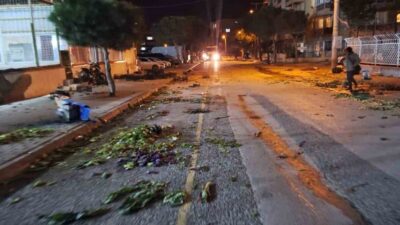 İzmir’in Bergama ilçesi Maltepe Mahallesi’nde her cumartesi kurulan semt pazarında,