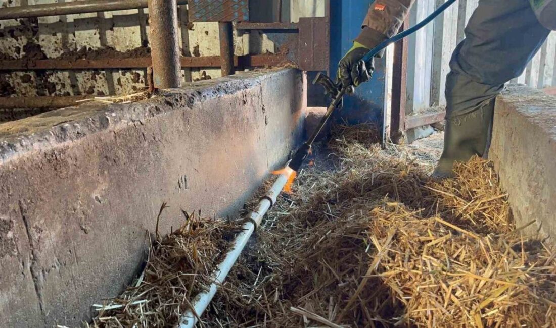 Eskişehir’de eksi seviyelerde seyreden hava sıcakları sebebi ile su şebekeleri