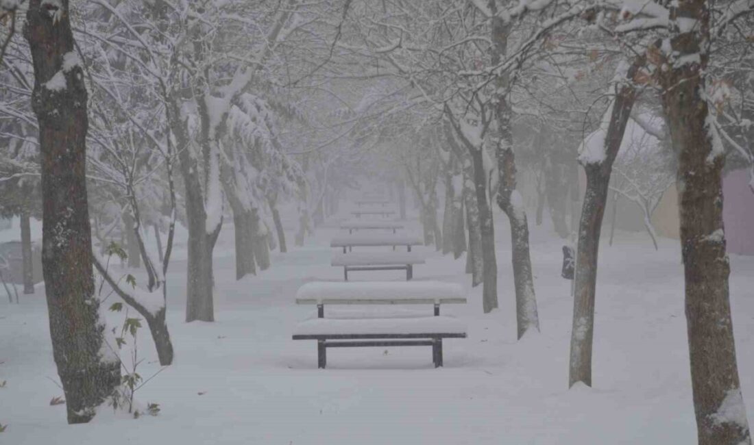 Adıyaman’ın Besni ilçesinde iki gündür etkisini sürdüren kar yağışı, ilçe