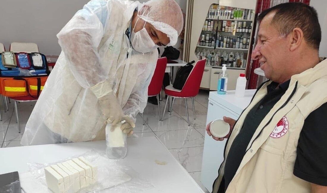 Konya’nın Beyşehir ilçesinde 2025 yılında denetime tabi tutulan ve mevzuata