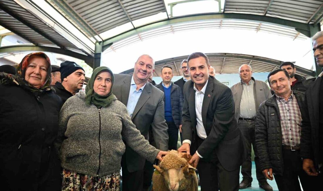 Balıkesir Büyükşehir Belediye Başkanı Ahmet Akın, Bigadiç’te düzenlenen “Damızlık Koç