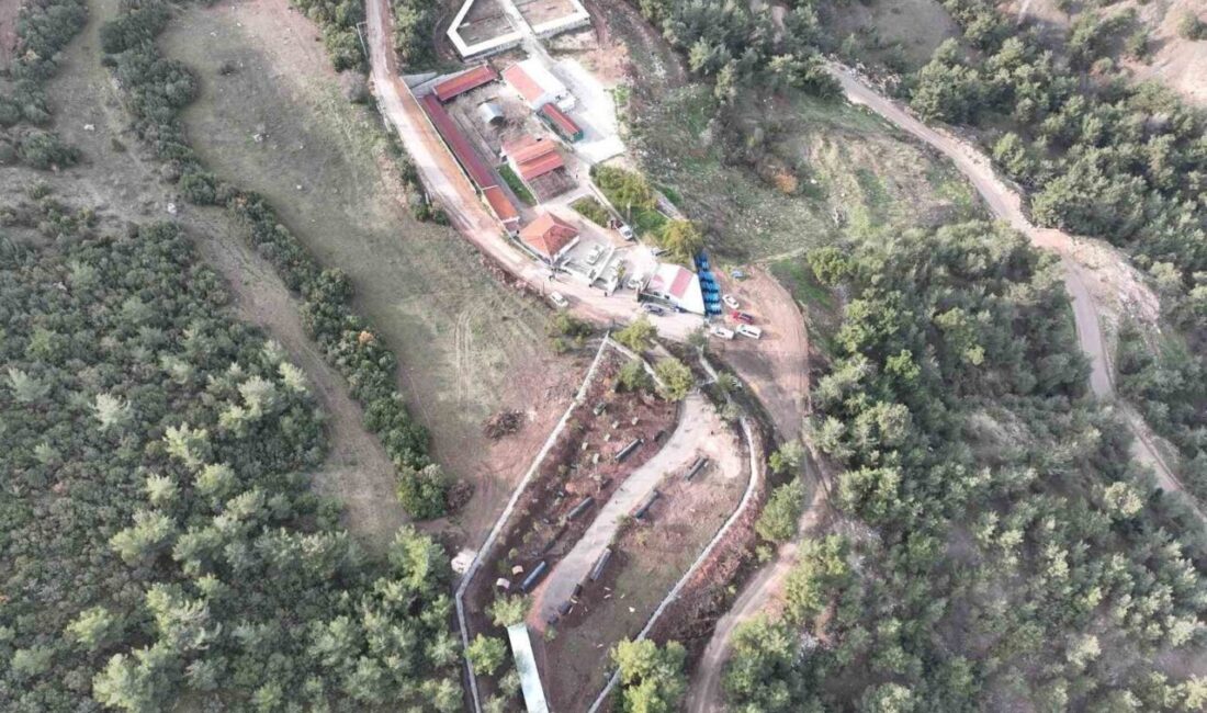 Bilecik Belediyesi Sokak Hayvanları Tedavi ve Rehabilitasyon Merkezi, yeni yılda