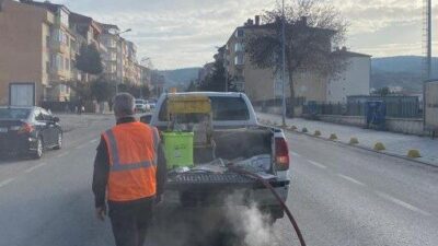 Bilecik’in Söğüt ilçesinde, haşerelere karşı kışlık mücadele çalışmaları gerçekleştirildi. Söğüt