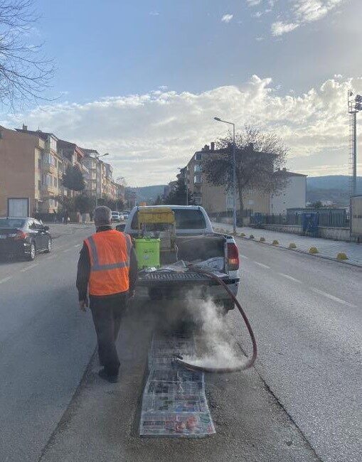 Bilecik’in Söğüt ilçesinde, haşerelere karşı kışlık mücadele çalışmaları gerçekleştirildi. Söğüt