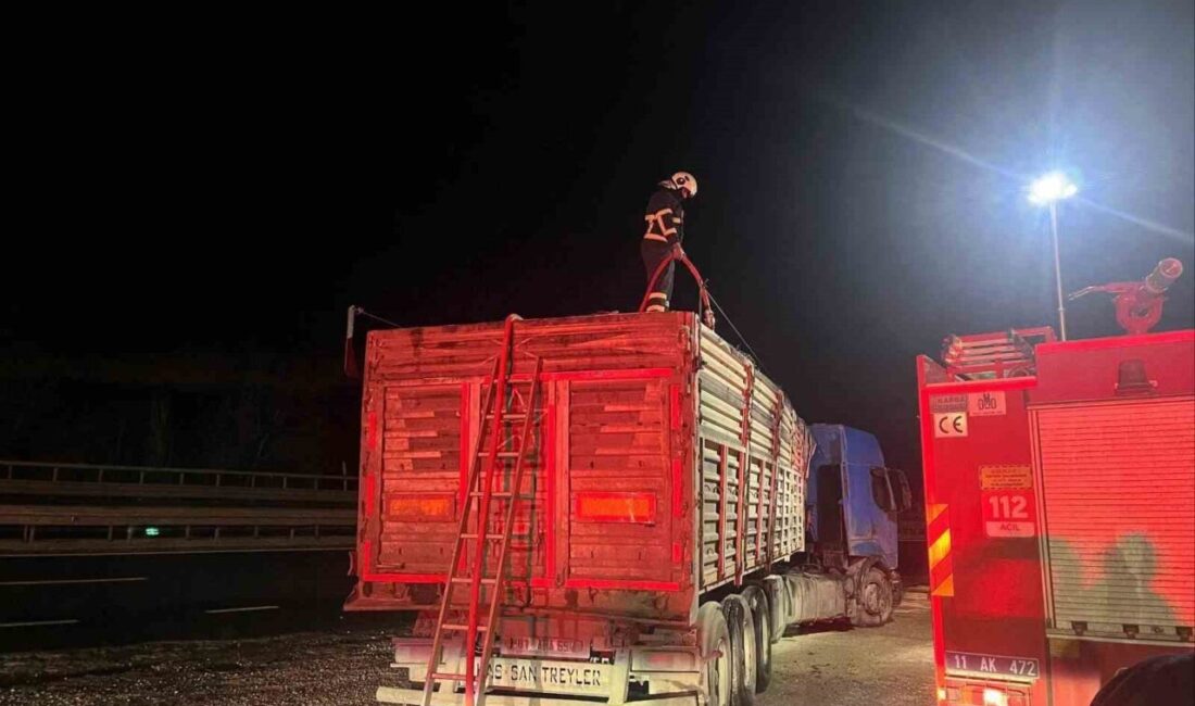 Bilecik’te seyir halinde talaş yüklü tır dorsesi alev aldı. Olay,