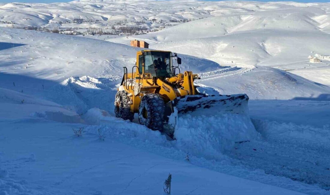 Bingöl’de yoğun kar yağışı nedeniyle kent genelinde 161 köy yolu