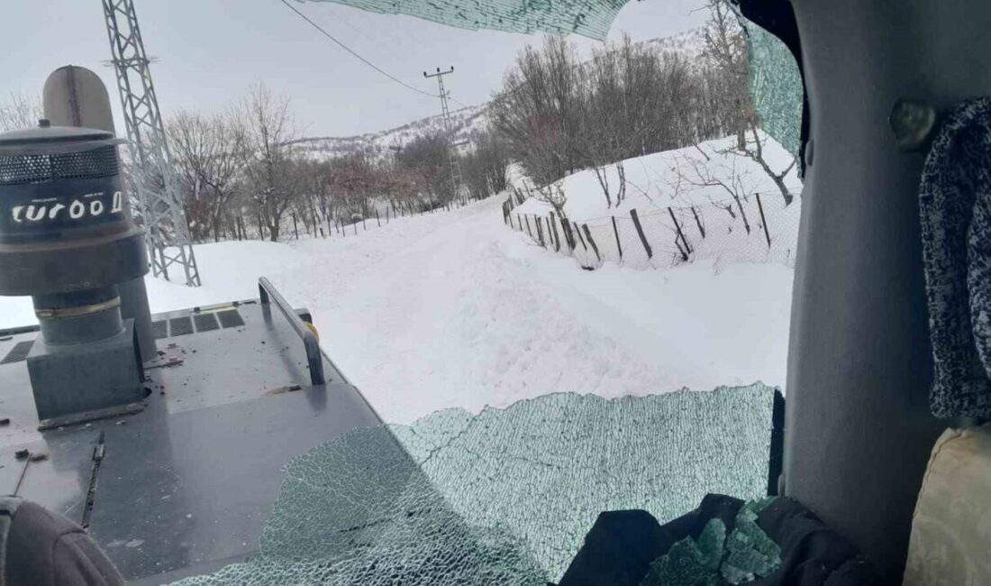 Bingöl’de yoğun kar yağışı sonrası İl Özel İdaresi ekiplerinin köy