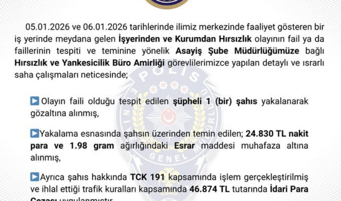 Bingöl’de hırsızlık yapan ve polis ekipleri tarafından yakalanan şüpheli, sevk