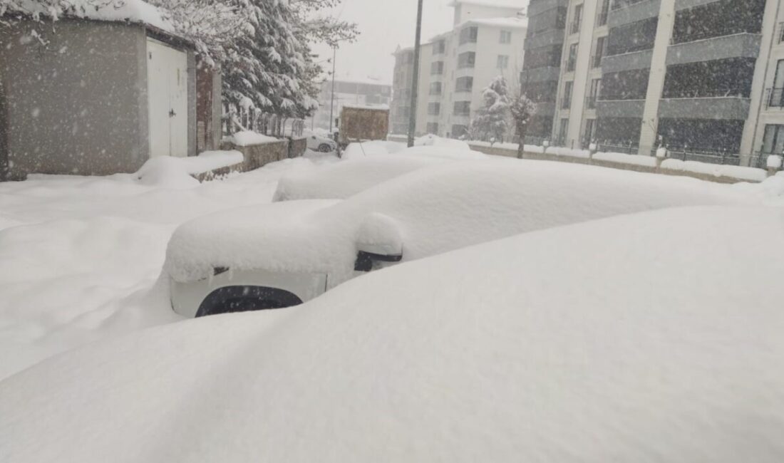 Meteorolojinin uyarı verdiği Bingöl’de dün gece başlayan kar yağışı, aralıksız