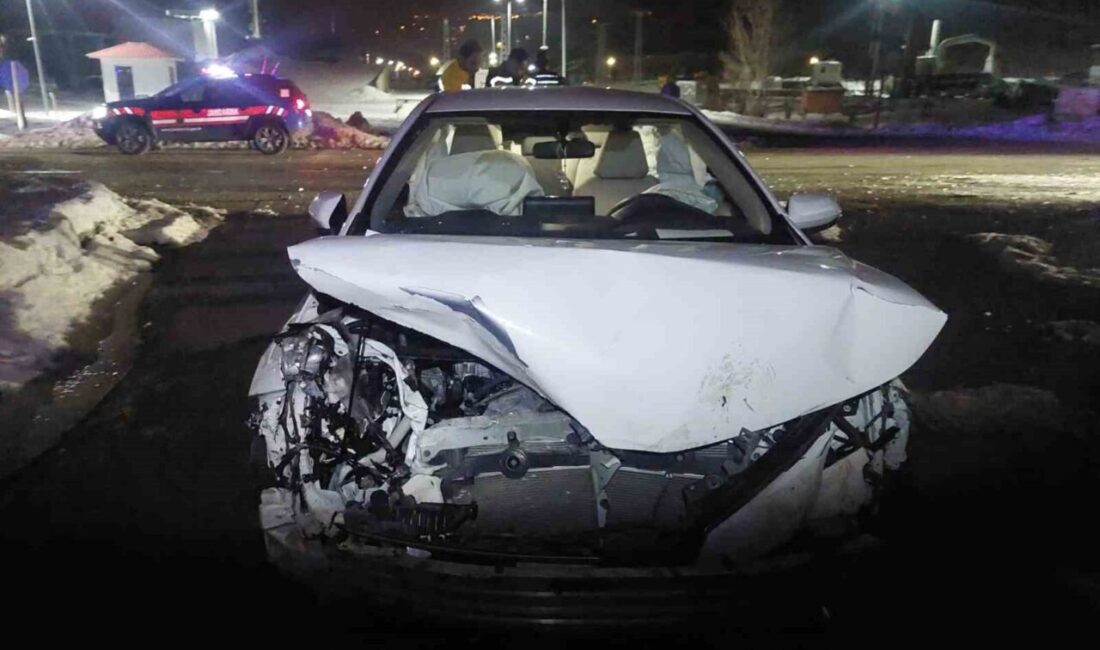 Bingöl’de otomobilin domuz sürüsüne çarpması sonucu meydana gelen kazada, 3