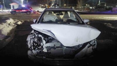 Bingöl’de otomobilin domuz sürüsüne çarpması sonucu meydana gelen kazada, 3