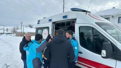 Bingöl’de etkili olan yoğun kar yağışı nedeniyle kara yolu ulaşımının