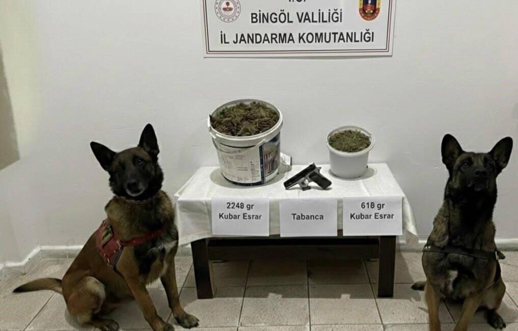 Bingöl’de jandarma ekipleri tarafından yapılan çalışmada, 2 kilo 866 gram
