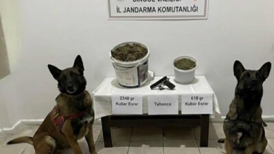 Bingöl’de jandarma ekipleri tarafından yapılan çalışmada, 2 kilo 866 gram