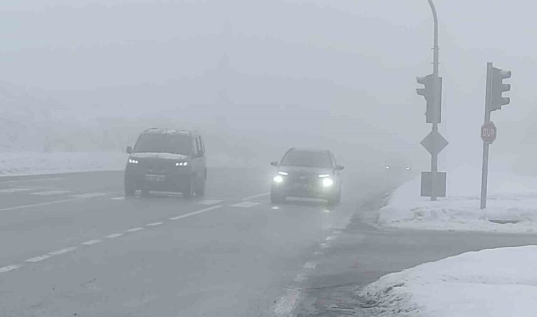 Bingöl’de aniden etkisini artıran sis, şehir merkezinde görüş mesafesinin düşürürken
