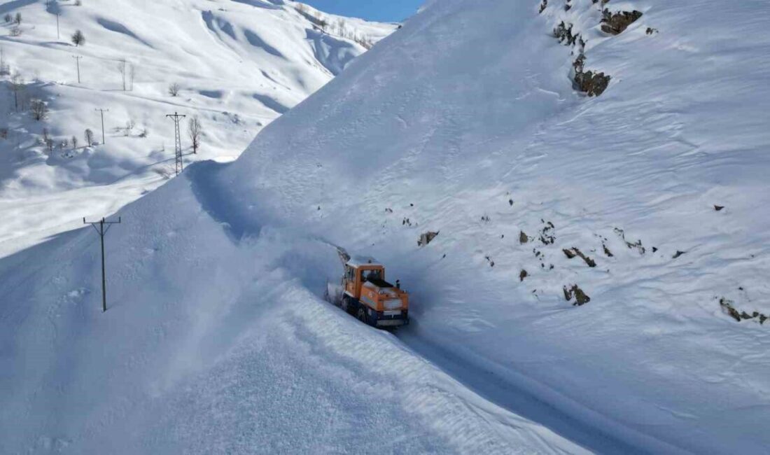 Bitlis İl Özel İdaresi ekipleri, yoğun kar yağışı nedeniyle kapanan