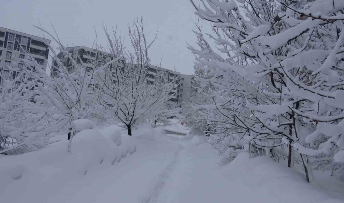 Bitlis’te günlerdir etkili olan kar yağışı yaşamı olumsuz etkilerken, vatandaşa