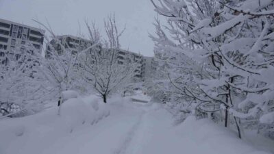 Bitlis’te günlerdir etkili olan kar yağışı yaşamı olumsuz etkilerken, vatandaşa
