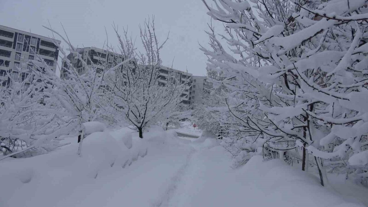 Bitlis’te günlerdir etkili olan kar yağışı yaşamı olumsuz etkilerken, vatandaşa