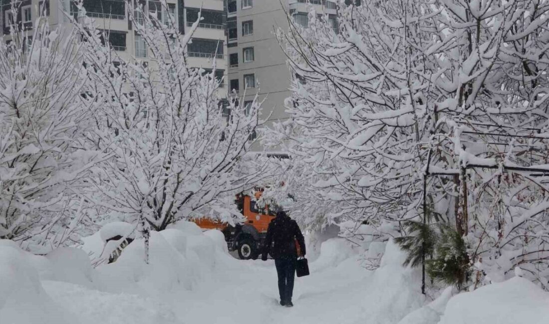 Bitlis’te dün öğleden sonra etkili olan kar yağışı ve soğuk