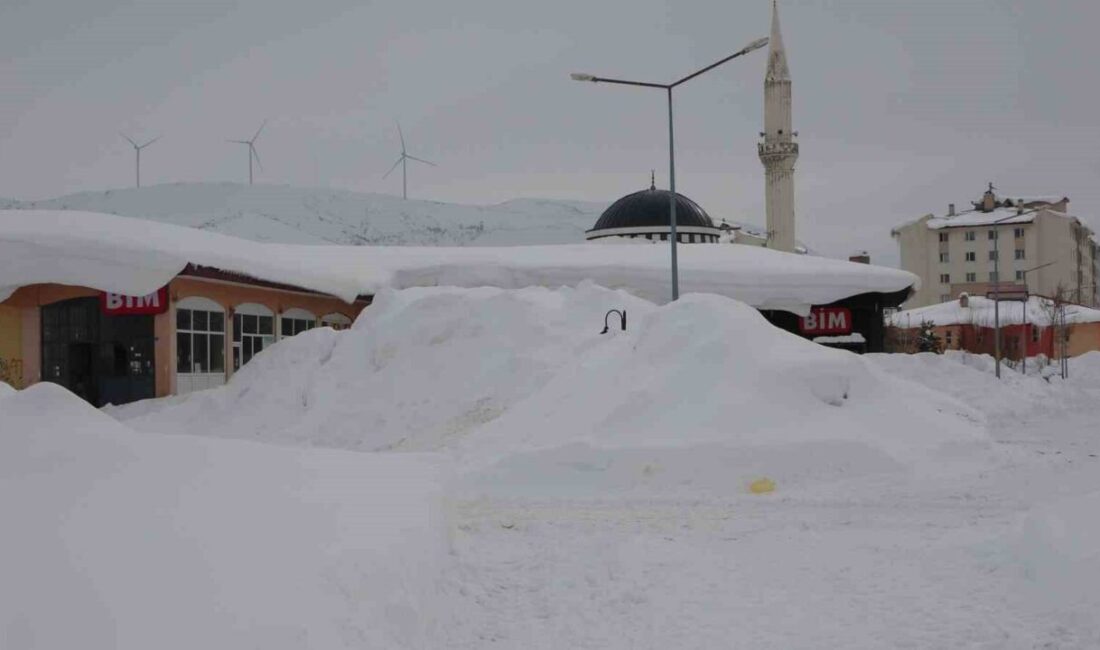 Bitlis’te günlerdir aralıklarla etkisini sürdüren yoğun kar yağışı, hayatı olumsuz