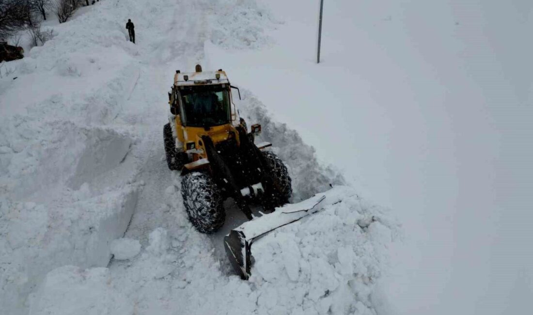 Bitlis’te etkili olan yoğun kar yağışı sonrası kırsal bölgelerde ulaşımın