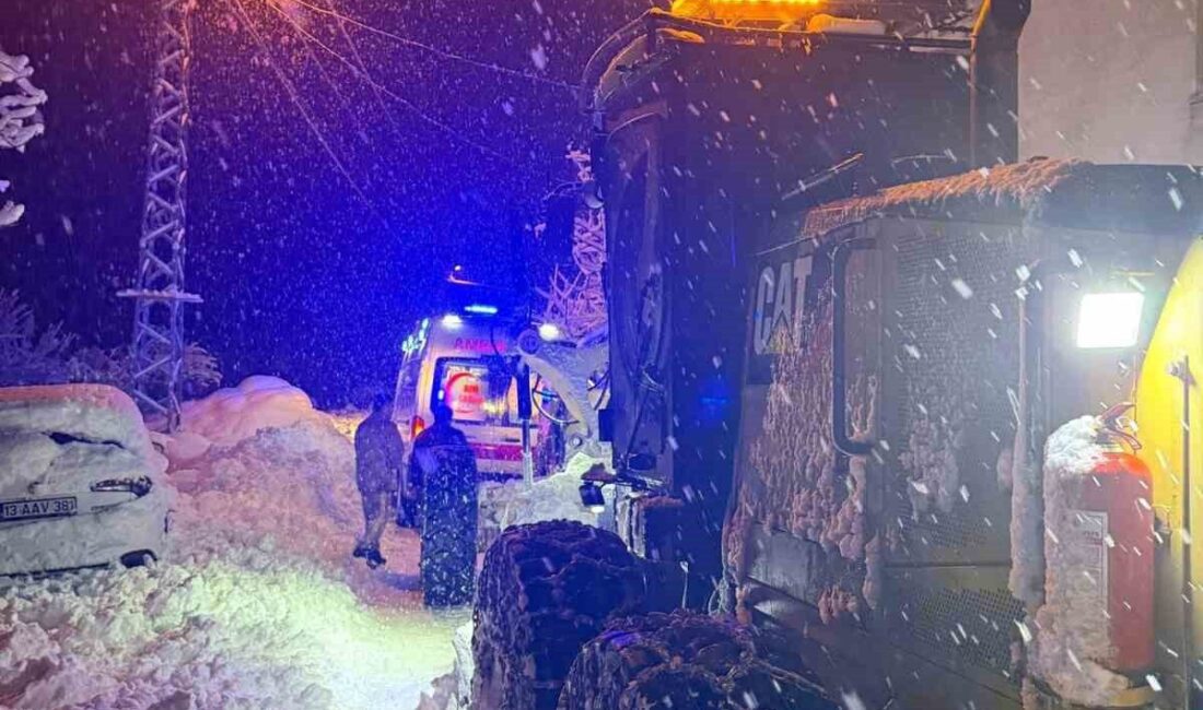 Bitlis İl Özel İdaresi karla mücadele ekipleri, merkeze bağlı Çeltikli