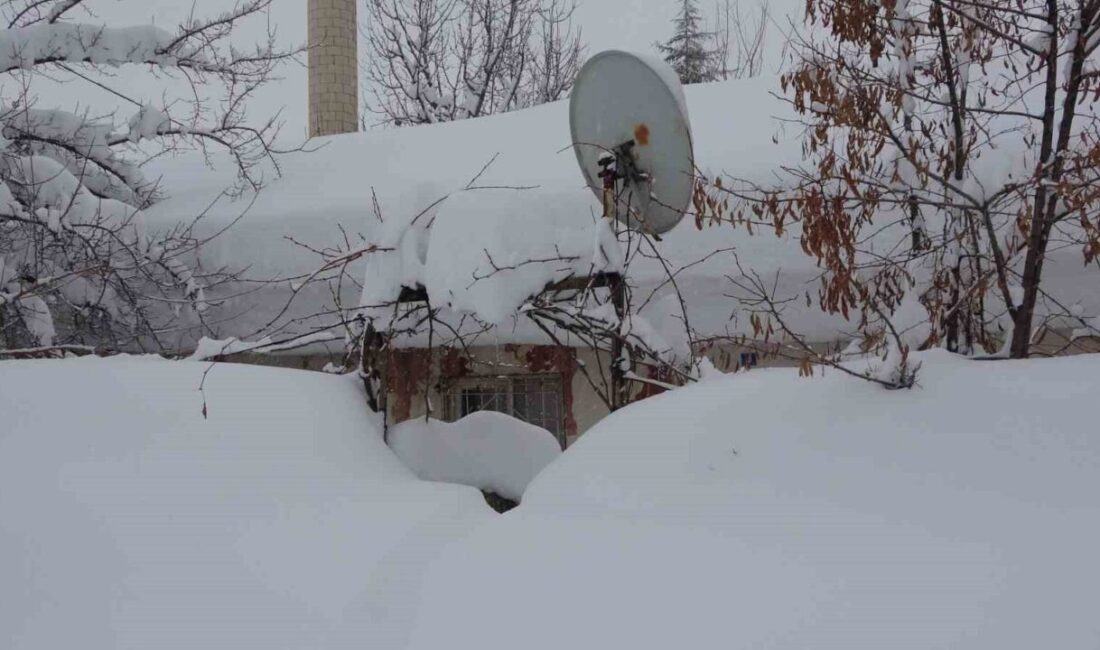 BİTLİS (İHA) – Bitlis’te etkili olan yoğun kar yağışı nedeniyle