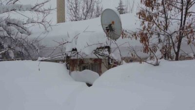 BİTLİS (İHA) – Bitlis’te etkili olan yoğun kar yağışı nedeniyle