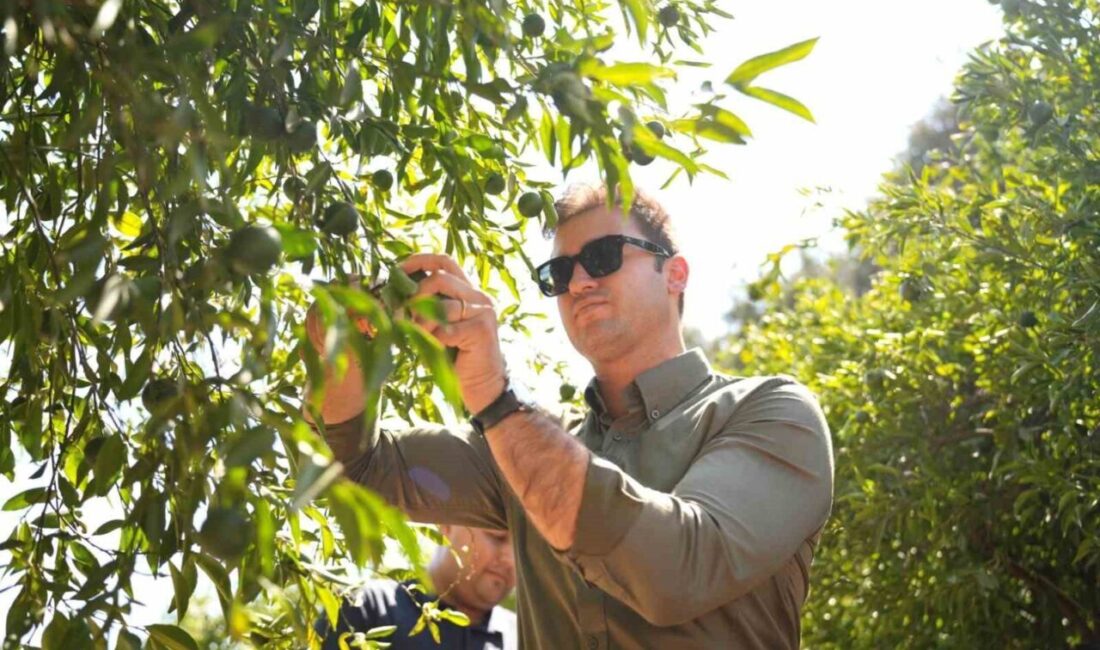 Bodrum Belediyesi ve Belediye A.Ş. iş birliğinde geliştirilen yeni satış