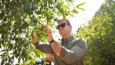 Bodrum Belediyesi ve Belediye A.Ş. iş birliğinde geliştirilen yeni satış