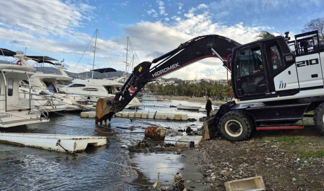 Muğla’nın Bodrum ilçesinde koya gelişi güzel şekilde konulan yaklaşık 100