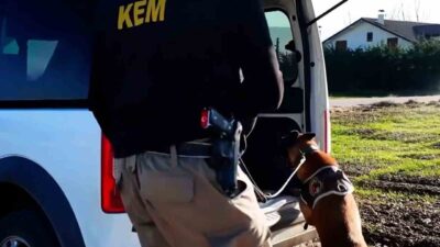 Bolu’da polis ve jandarma ekiplerince belirlenen adreslere düzenlenen operasyonlarda gözaltına