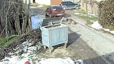 Bolu Belediye Başkanı Tanju Özcan, bir aracın üzerinden geçerek yaraladığı