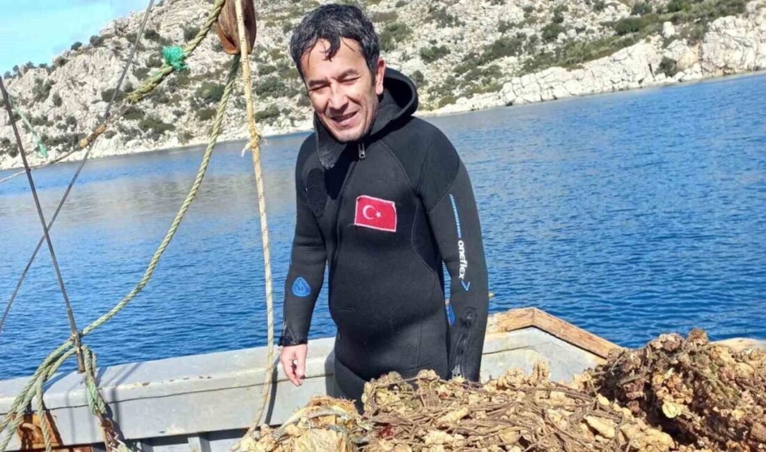 Marmaris Bozburun Mahallesi Çomçalık mevkiinde iki ayrı noktada tespit edilen