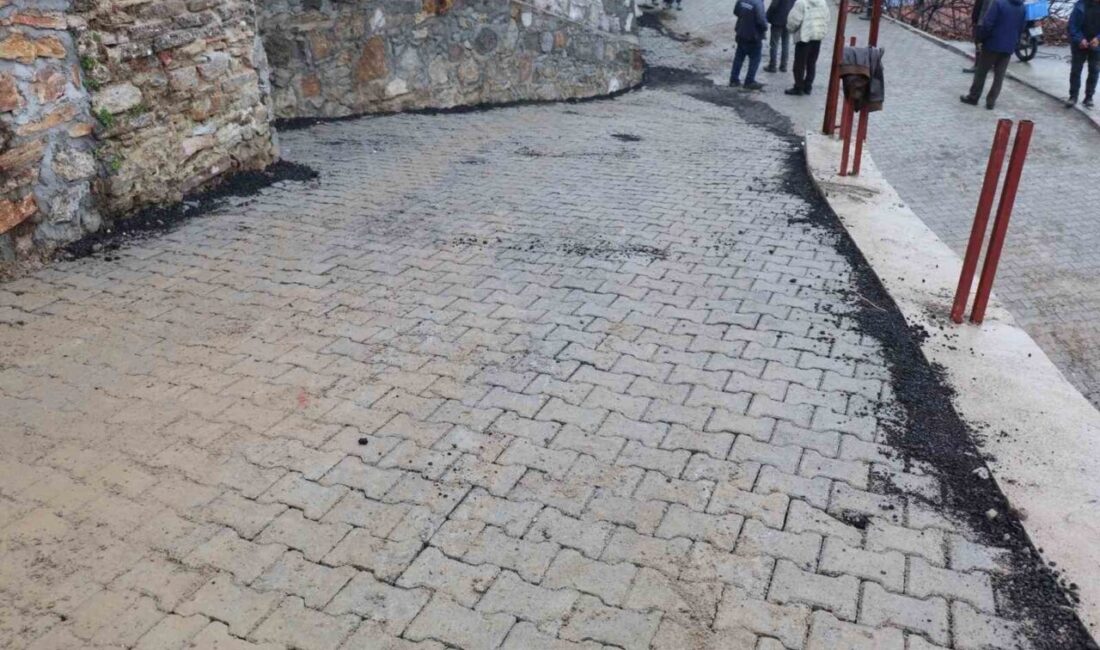 Aydın’ın Bozdoğan ilçesi Hıdırbaba Mahallesi’nde yaşayan 17 yaşındaki yürüme engeli