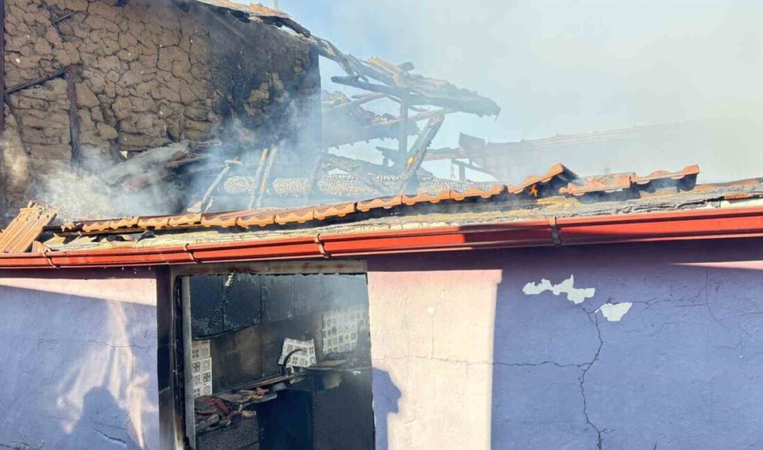 Aydın’ın Bozdoğan ilçesinde bir ev, çıkan yangında alevlere teslim olurken,
