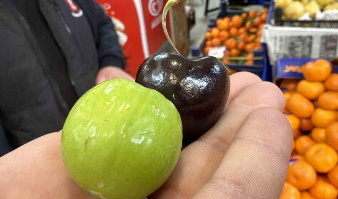 Düzce’de kış mevsiminde bulunması zor olan yaz meyveleri, hamileler için