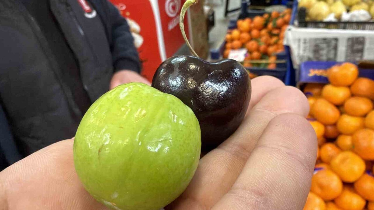 Düzce’de kış mevsiminde bulunması zor olan yaz meyveleri, hamileler için