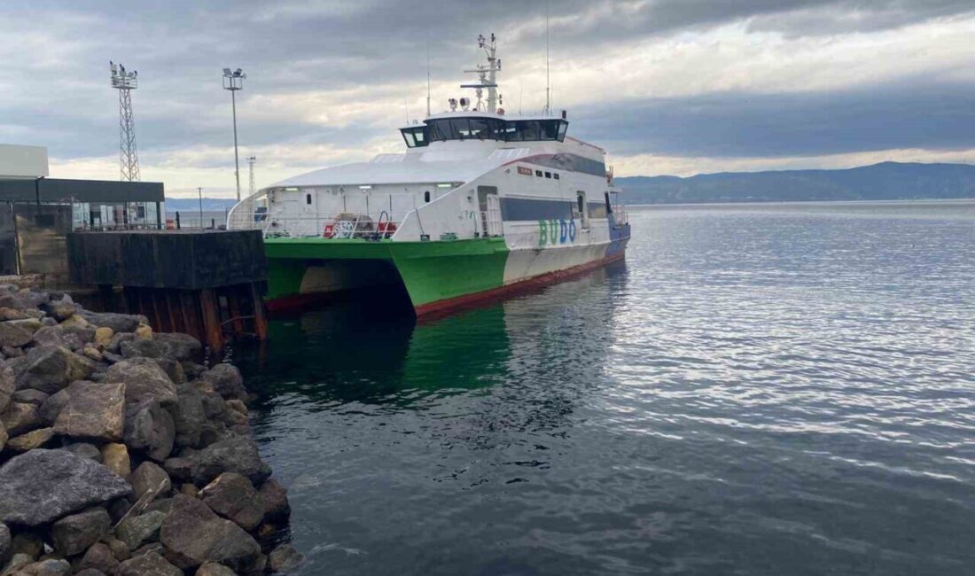 Bursa Deniz Otobüsleri’nin (BUDO) resmi internet sitesinde yer alan duyuruya
