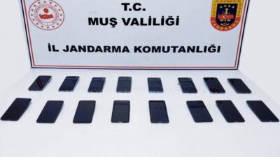 Muş İl Jandarma Komutanlığı ekiplerince düzenlenen operasyonda, kargo ile gönderilmek