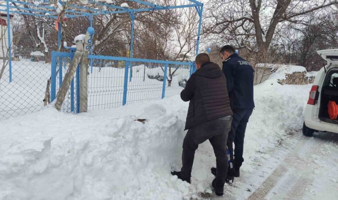 Soğuk havaların etkisini artırdığı bu günlerde Bünyan Belediyesi, sokak hayvanlarını