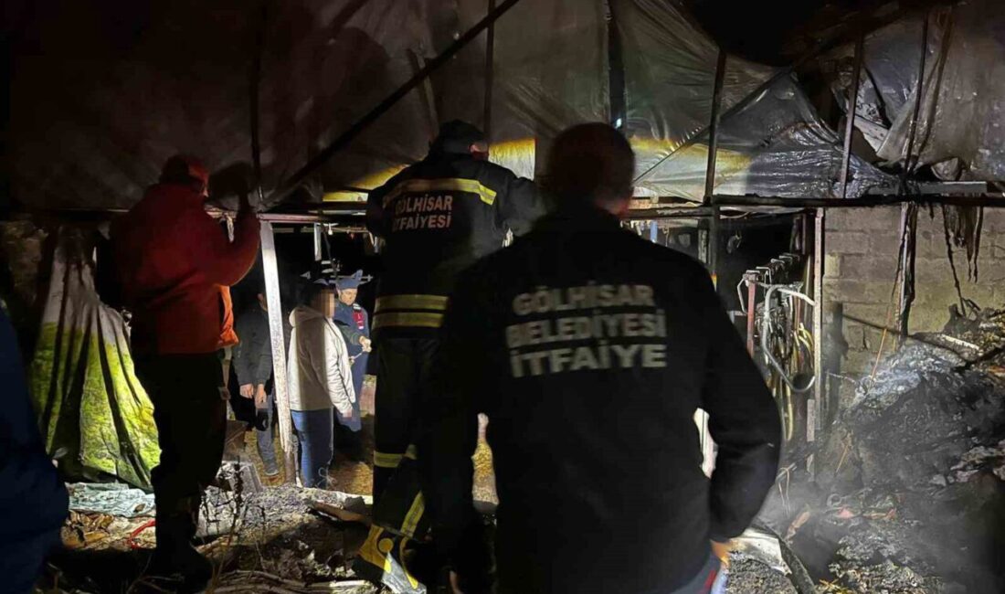 Ahırda çıkan yangın, itfaiyenin müdahalesiyle söndürülürdü. Olayda can kaybı yaşanmazken,